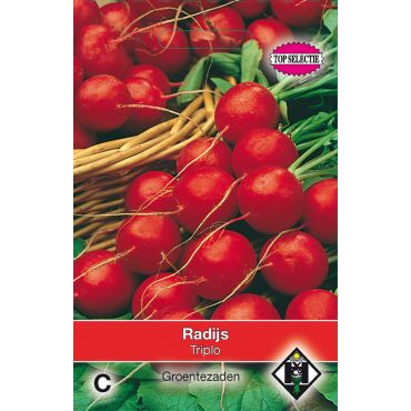 Radijs Raxe - afbeelding 1