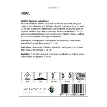 Radijs Raxe - afbeelding 2