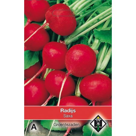 Radijs Saxa - afbeelding 1