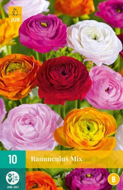 Ranunculus Mix