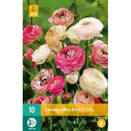 Ranunculus pastel mix 10st