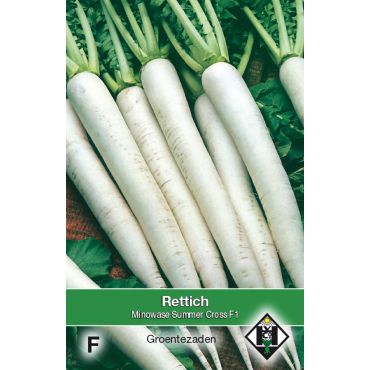 Rettich / Daikon Minowase S.C. F1 - afbeelding 1