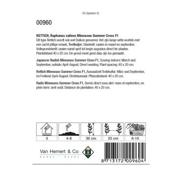 Rettich / Daikon Minowase S.C. F1 - afbeelding 2