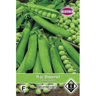 Rijsdoperwt Alexandra, 50 gr. - afbeelding 1