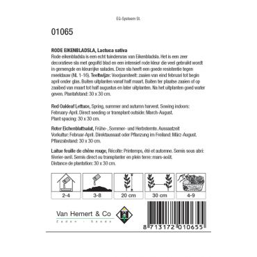 Rode Eikenbladsla - afbeelding 2