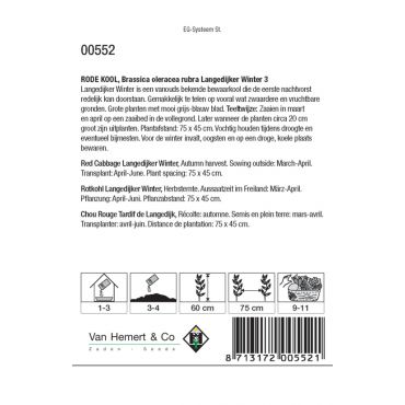 Rode kool Langedijker Winter  3 - afbeelding 2