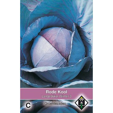 Rode kool Langedijker Winter  3 - afbeelding 1