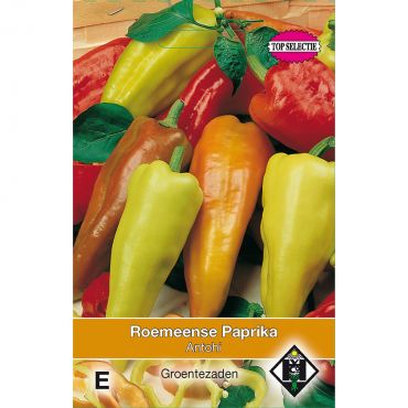 Roemeense Paprika Amy - afbeelding 1