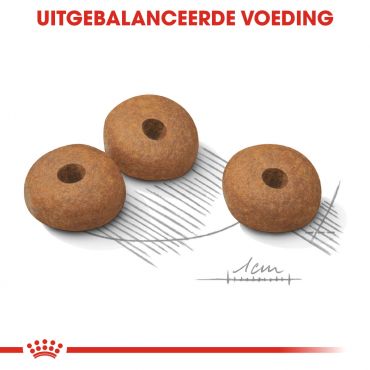 Royal Canin hondenvoer light weight care mini (3 kg) - afbeelding 2