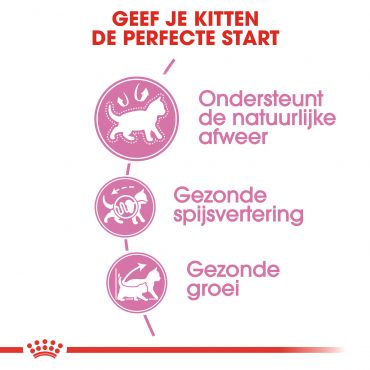 Royal Canin kattenvoer kitten (2 kg) - afbeelding 3