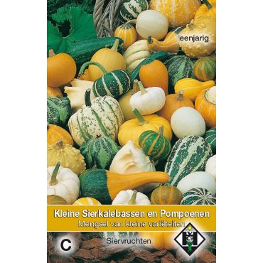 Sierkalebassen en pompoenen mengsel - afbeelding 1