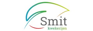 Smit Smit