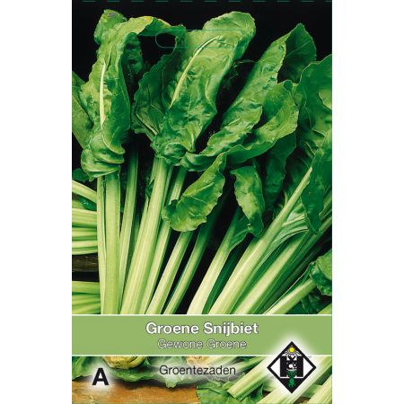 Snijbiet Gewone Groene - afbeelding 1