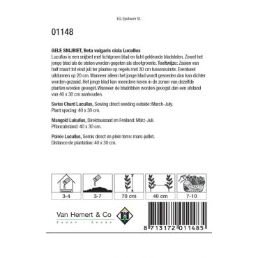 Snijbiet Lucullus - afbeelding 2