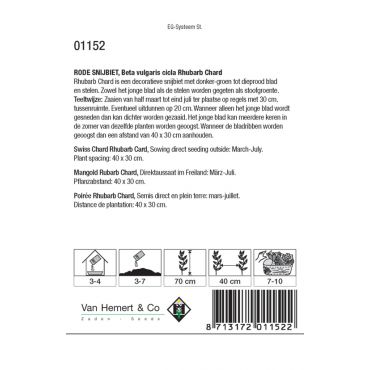Snijbiet Rhubarb Chard - afbeelding 2