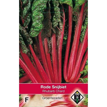 Snijbiet Rhubarb Chard - afbeelding 1