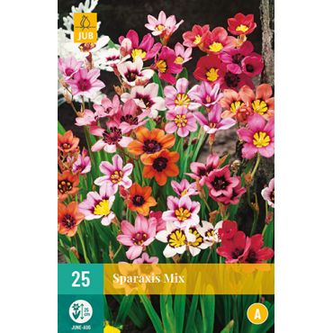 Sparaxis mix 25st