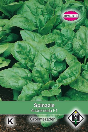 Spinazie Regiment F1 - afbeelding 1