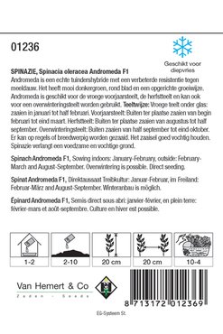 Spinazie Regiment F1 - afbeelding 2