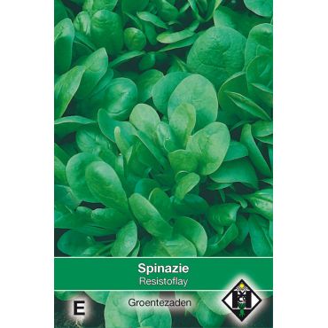 Spinazie Resistoflay, 35 gr. - afbeelding 1