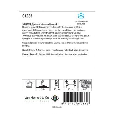 Spinazie Revere F1 - afbeelding 2