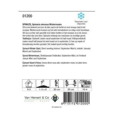 Spinazie Winterreuzen, 35 gr. - afbeelding 2