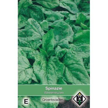 Spinazie Winterreuzen, 35 gr. - afbeelding 1