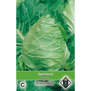 Spitskool Express - afbeelding 1