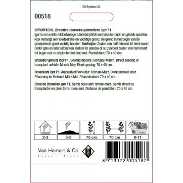 Spruitkool Igor F1 - afbeelding 2