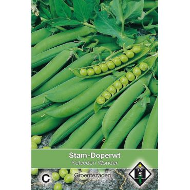 Stam-doperwt Kel. Wonder, 50 gr. - afbeelding 1