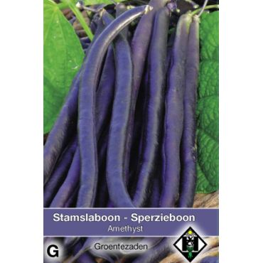 Stamslaboon Amethyst, 30 gr. - afbeelding 1