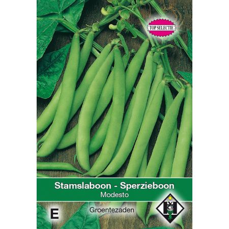 Stamslaboon Modesto, 30 gr - sperzieboon - afbeelding 1