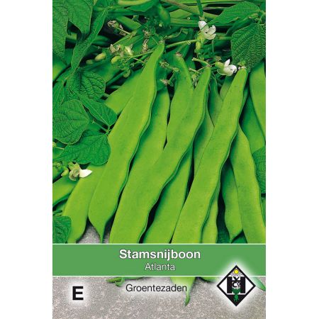 Stamsnijboon Atlanta, 50 gr. - afbeelding 1