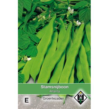 Stamsnijboon Atlanta, 50 gr. - afbeelding 1