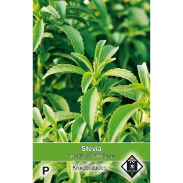 Stevia - afbeelding 1