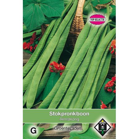 Stokpronkboon 'Armstrong', 50 gr - afbeelding 1