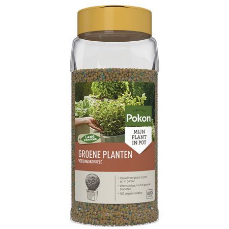 Pokon voedingskorrels groene planten - afbeelding 1