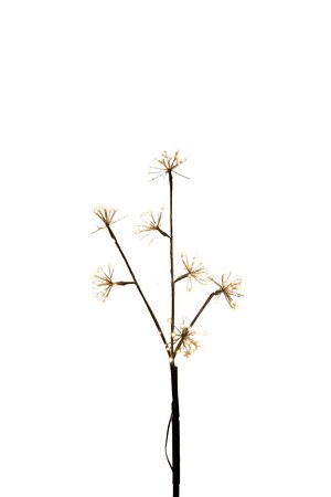 Anna's Collection LED Dandelion 70 cm - afbeelding 1