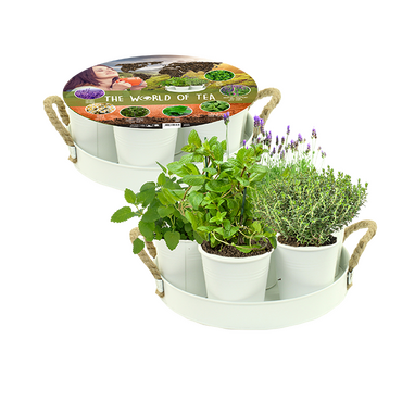 Herb festival kruiden