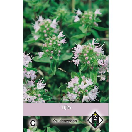 Tijm / Thymus - afbeelding 1