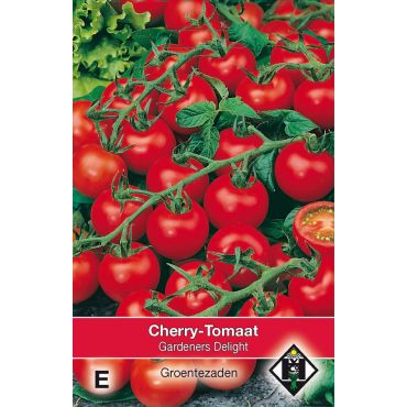 Cherrytomaat 'Gardeners Delight' - afbeelding 1