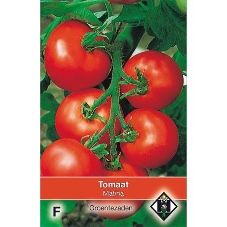 Tomaat 'Matina' - afbeelding 1
