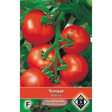 Tomaat 'Matina' - afbeelding 1