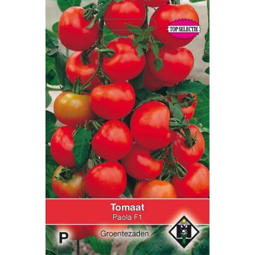 Tomaat Paola F1 - afbeelding 1