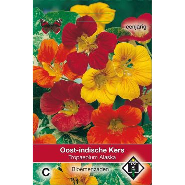 Tropaeolum m. n. Alaska - afbeelding 1