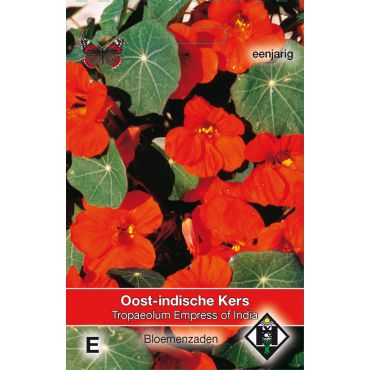 Tropaeolum majus nanum 'Empress of India' - Oost-Indische kers - afbeelding 1