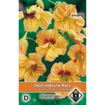 Tropaeolum m. n. Peach Melba - afbeelding 1
