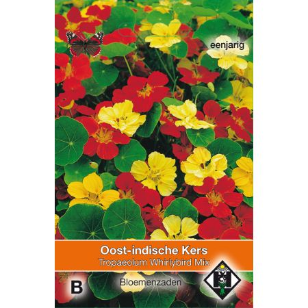 Tropaeolum m. n. Whirlybird Mix - afbeelding 1
