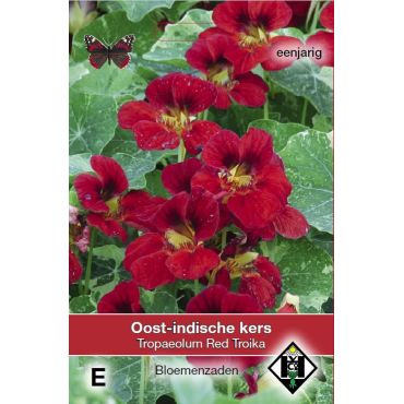 Tropaeolum m. Red Troika - afbeelding 1