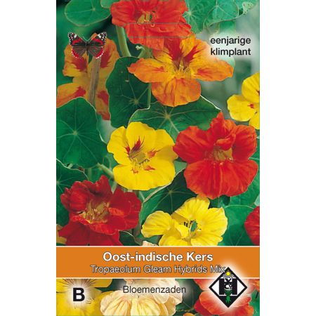 Tropaeolum majus Gleam Hybrids Mix - afbeelding 1